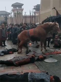 每日一笑二十四期,每日一笑深度解读