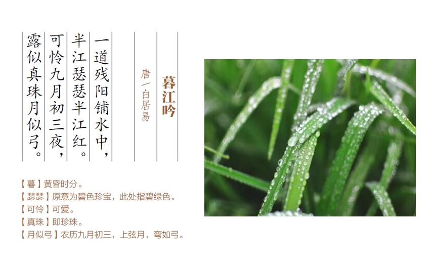 自然之美楷书,自然之美野性之美