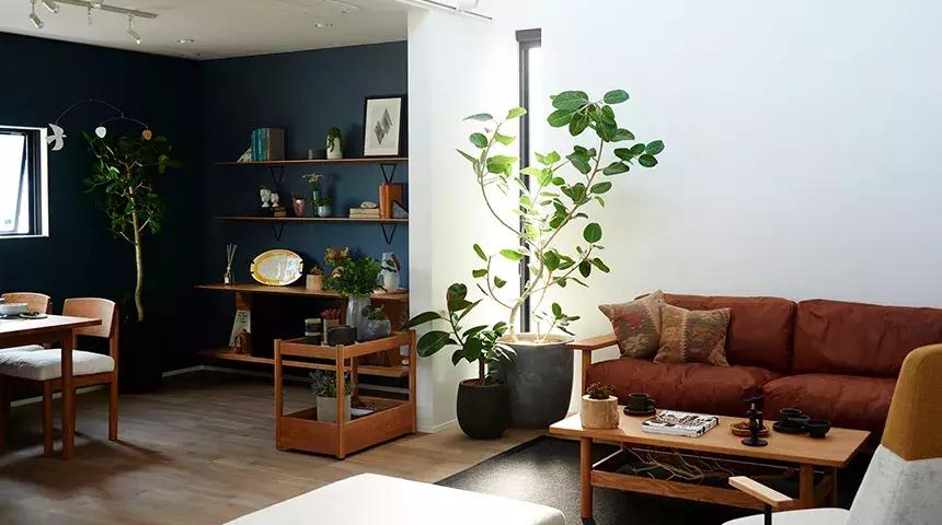 了解一下家具知识,了解家具的知识需要看什么书