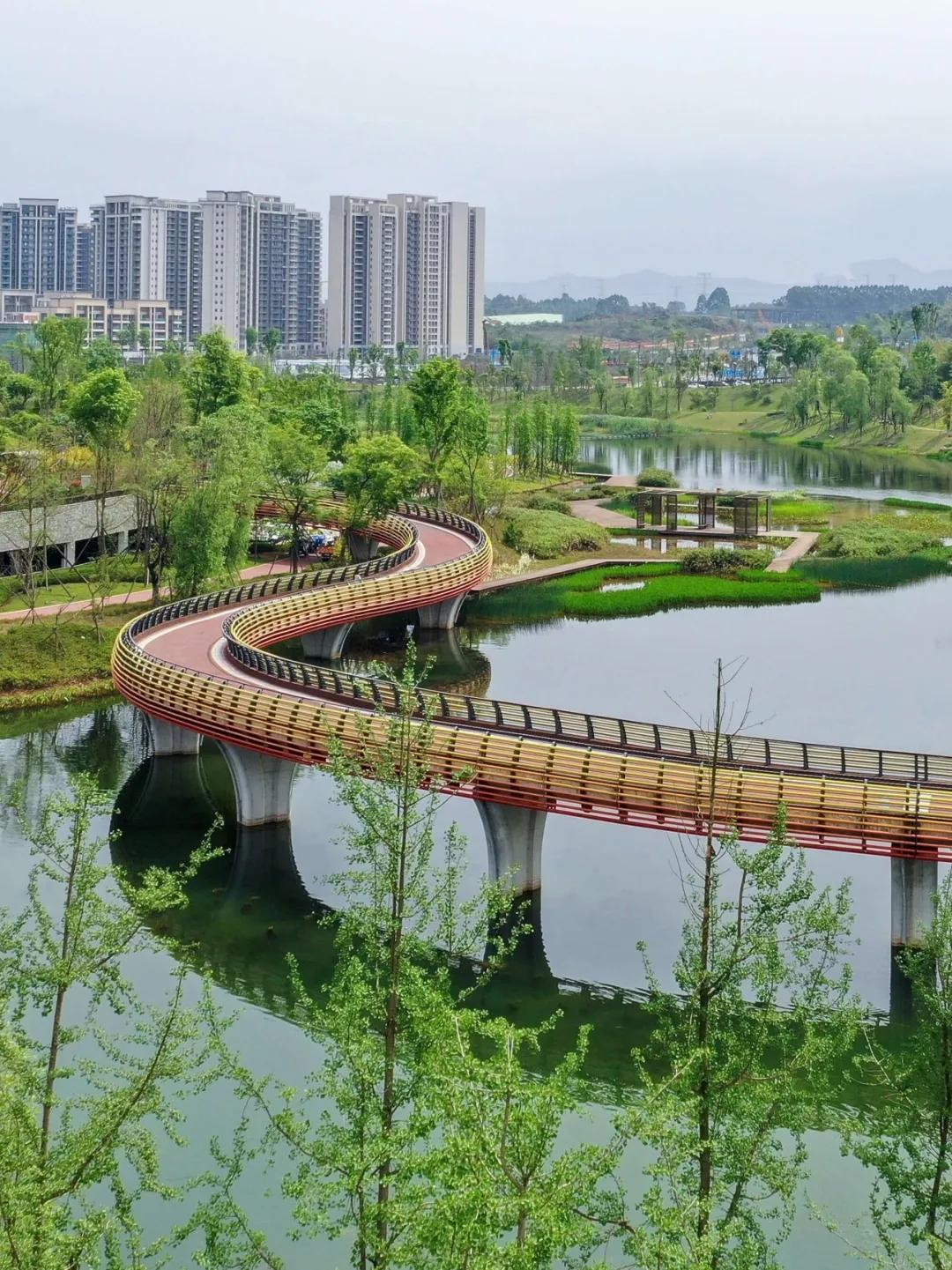 成都一座浪漫的城市,成都真是一个让人放松的城市