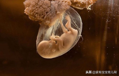 怀孕初期心慌气短胸闷心跳加速,怀孕了气短对胎儿有影响吗