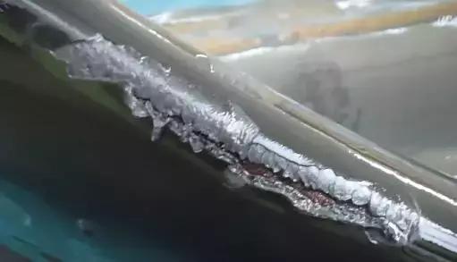 难得一见海洋动物表演,看不完的海洋动物和表演