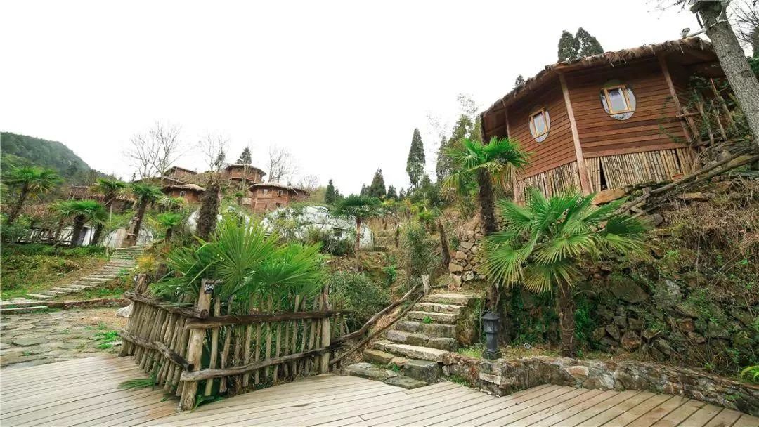 文成悦慢特色民宿,文成百丈漈水云见民宿