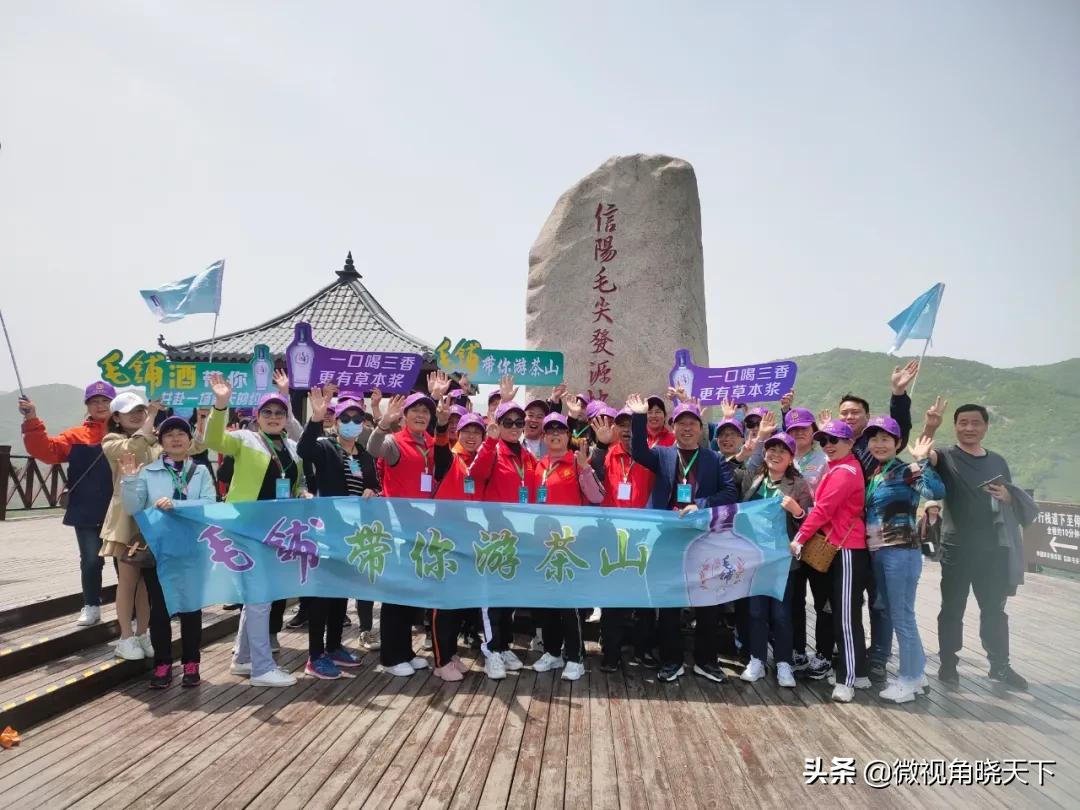 带你看看信阳的茶山美景,信阳浉河茶山直播