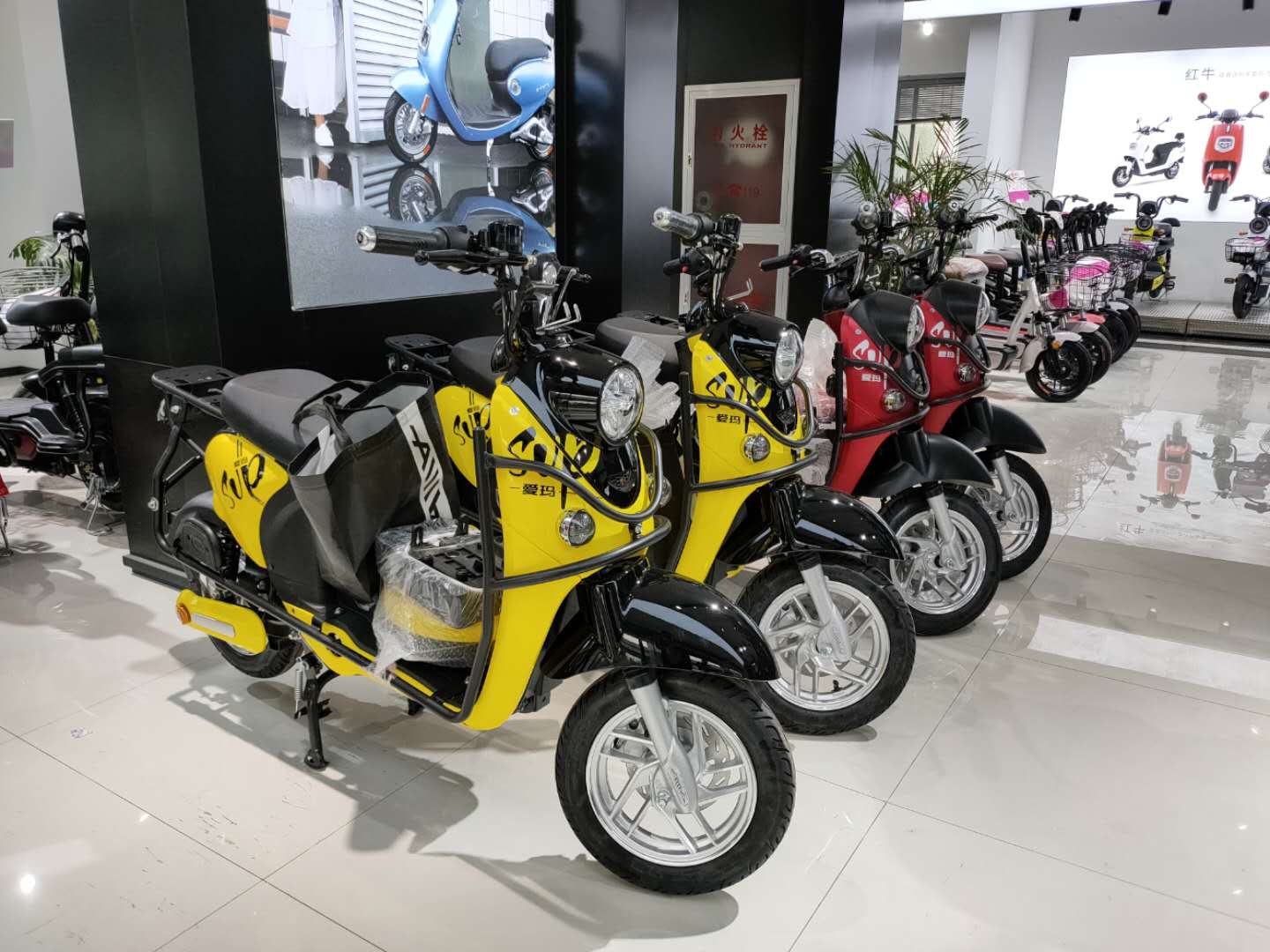 小龟电动车48v电池,小龟电动车可以用48v电池么