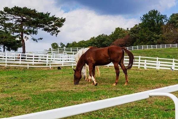 三十而已许幻山值得原谅吗,许幻山最终结果