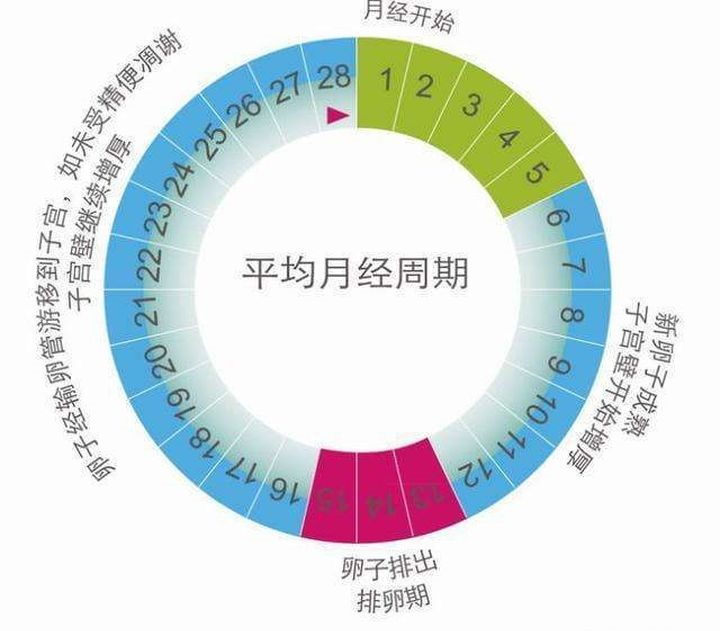 女性阴道出血常见症状,妇女阴道出血有哪些症状