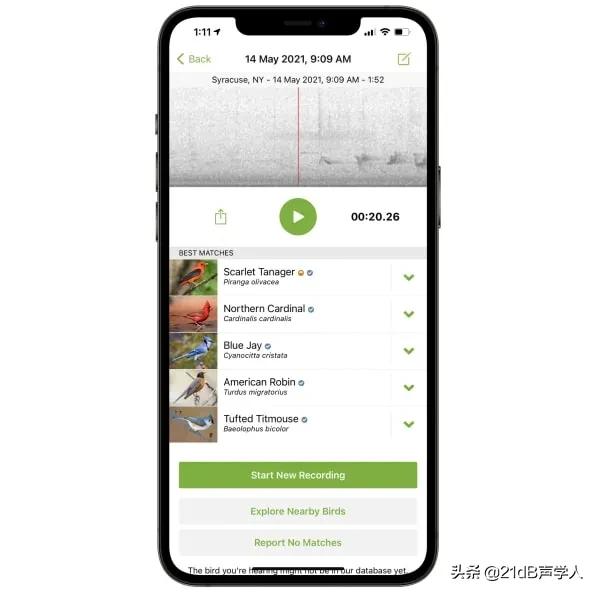 鸟叫声识别app,听声音识别鸟的软件