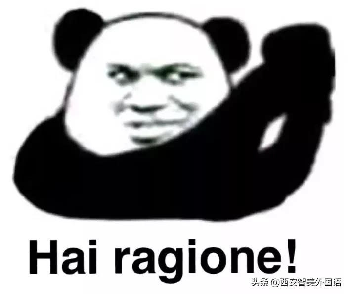 意大利语必背100个单词,意大利语有意思的单词