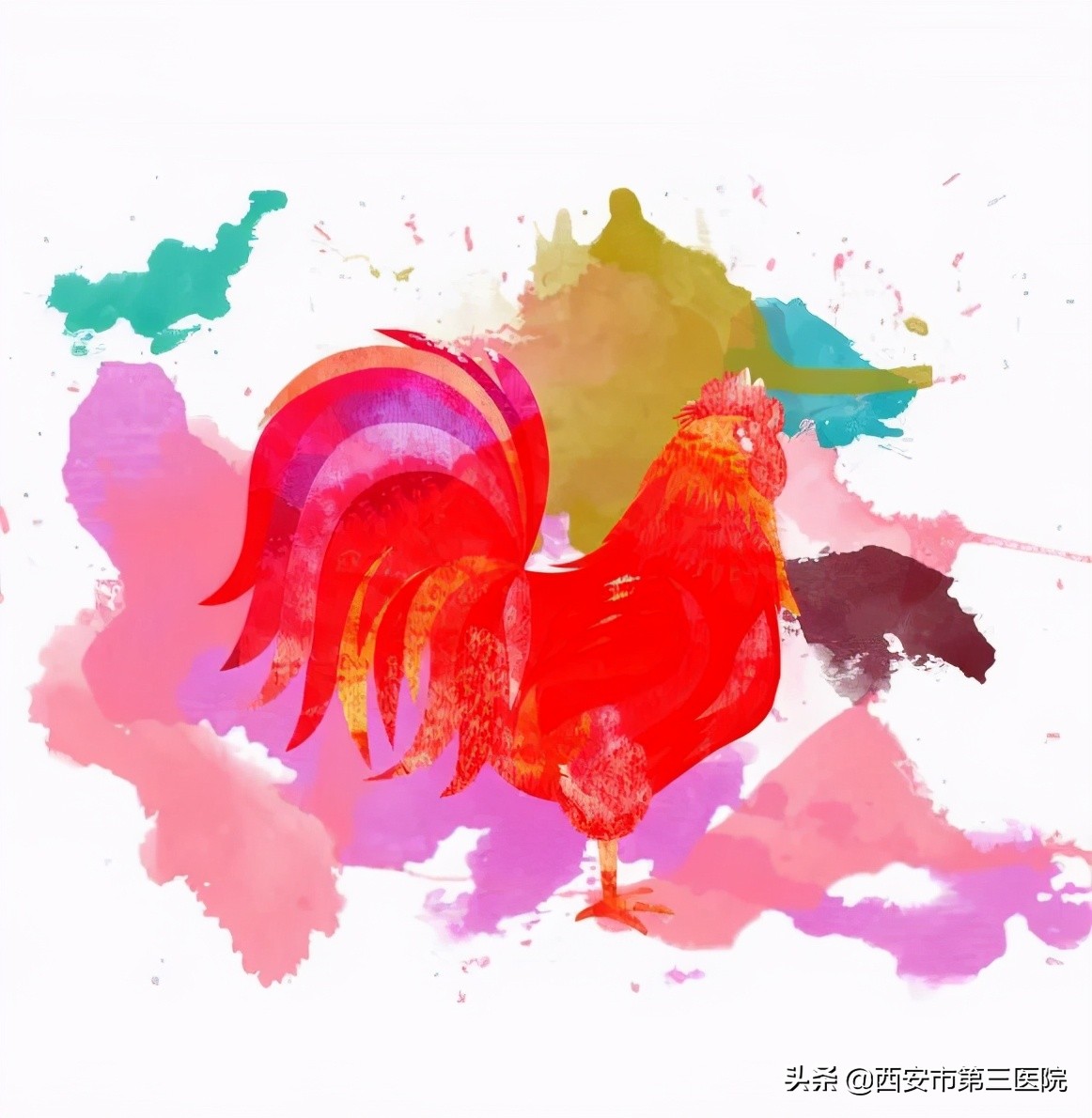 偶尔打鸡血持续打鸡血,打鸡血还是打鸡血