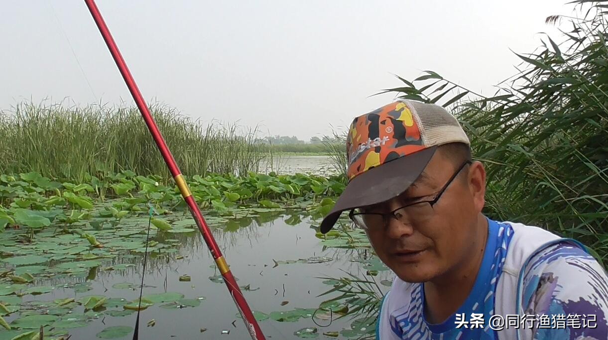 河北的鱼竿为何这么便宜,河北鱼竿货源批发在哪里