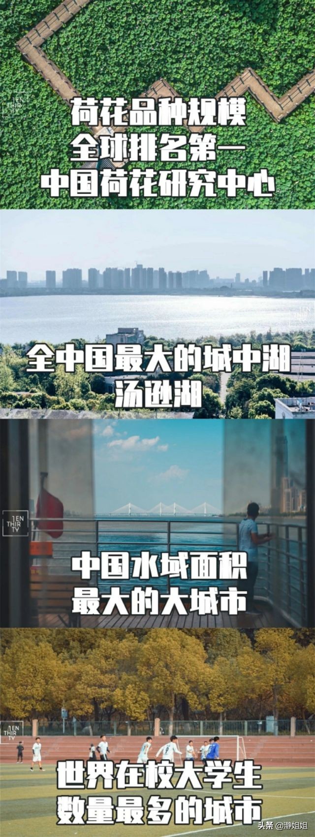 武汉这是一座值得到来的城市,武汉是一个独特的城市
