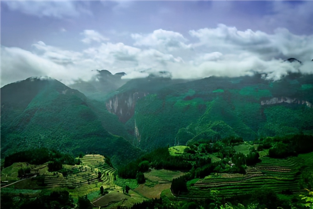 中林集团林业局,推进林业产业高质量发展举措