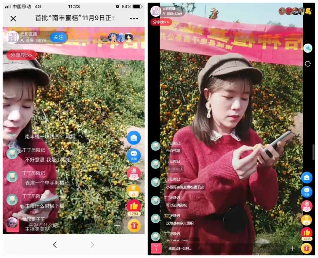 服务中心举行南丰蜜桔种植基地网络直播活动