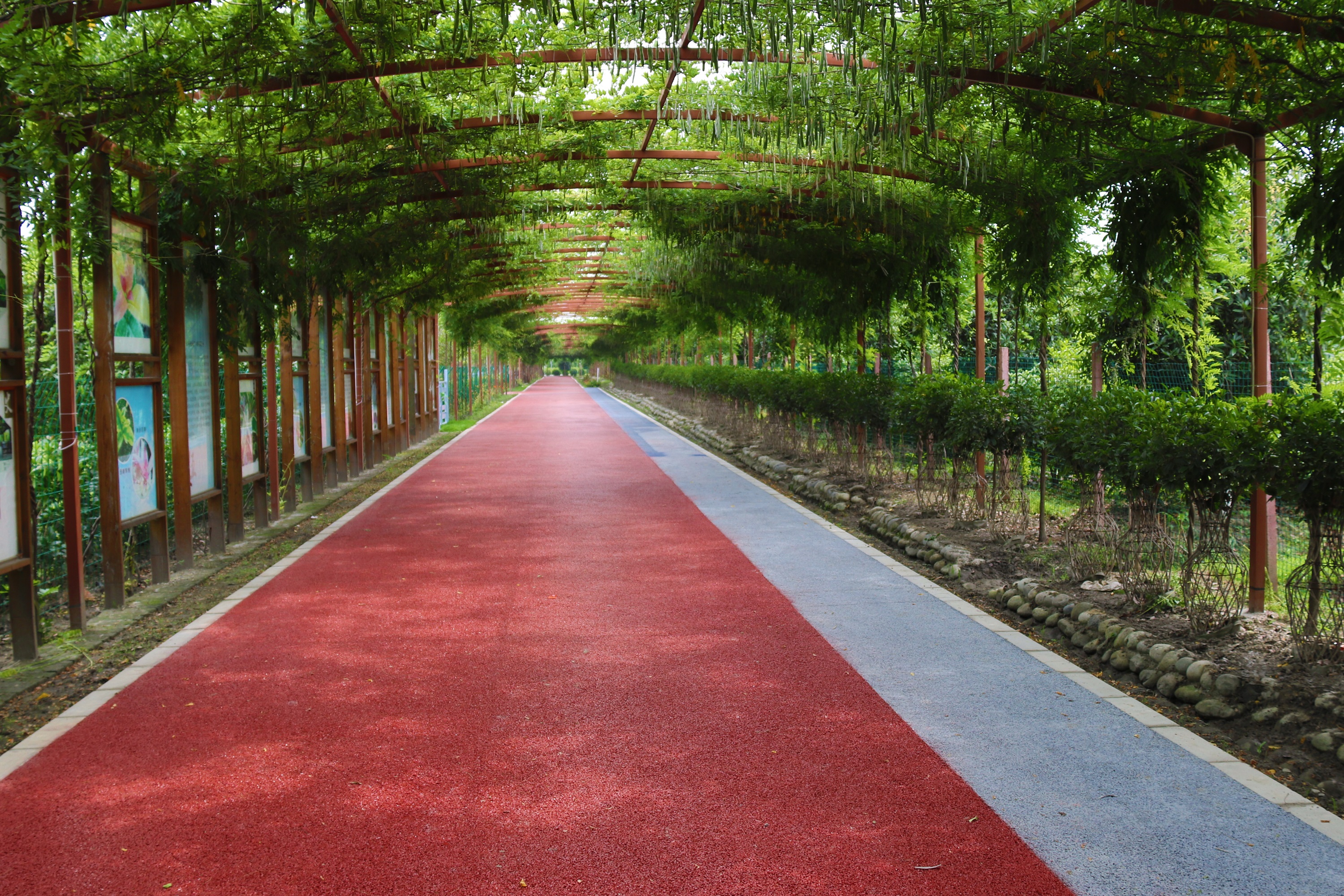 新都有什么特色地标,新都特色小镇规划