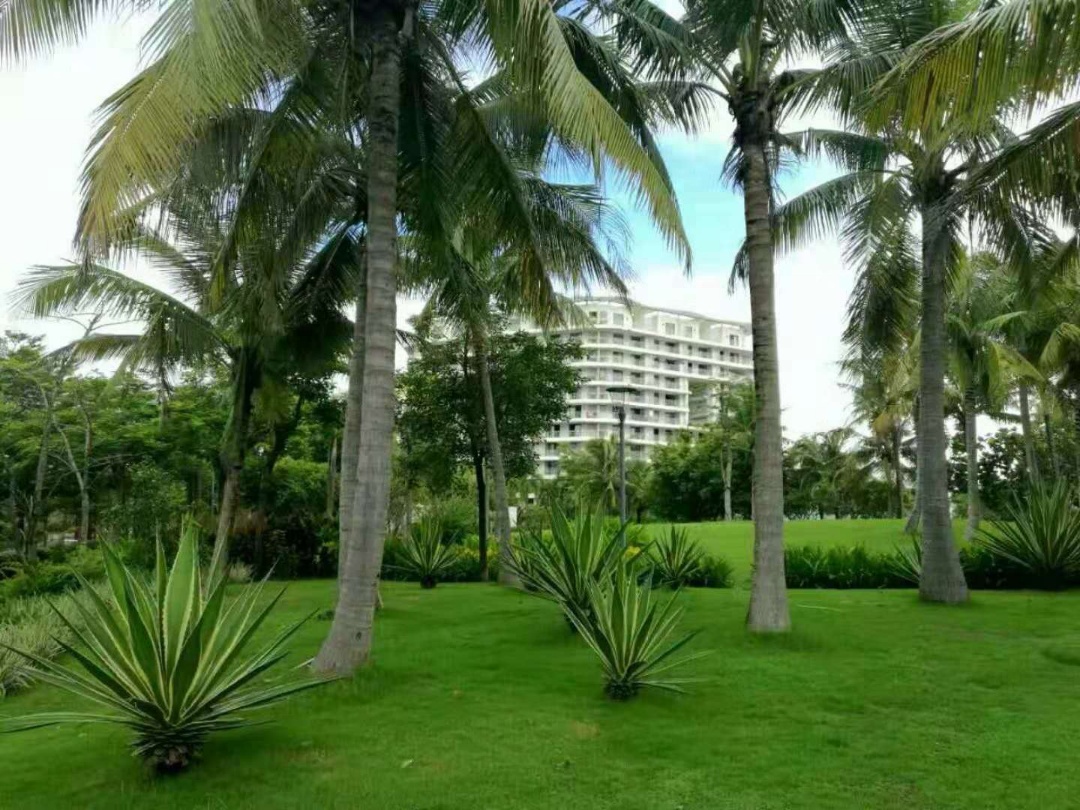 海南三亚清水湾单价：洋房均价1.82万/㎡别墅410-490万/套