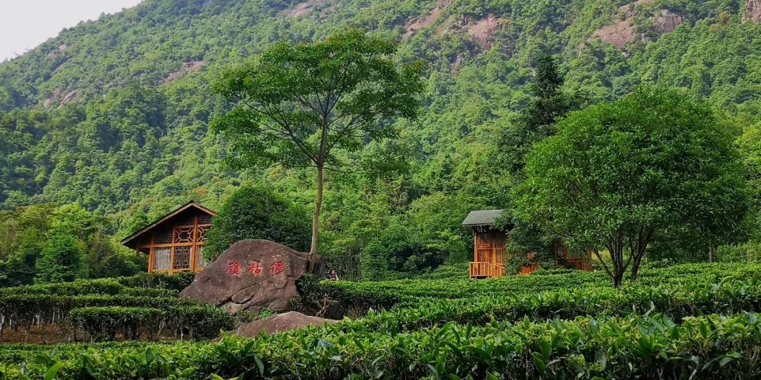 贺州姑婆山景区国家森林公园,贺州姑婆山森林公园路线