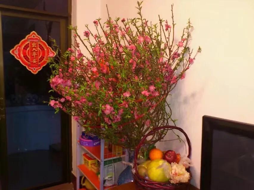 桃花励志花语大全,桃花的星座和花语