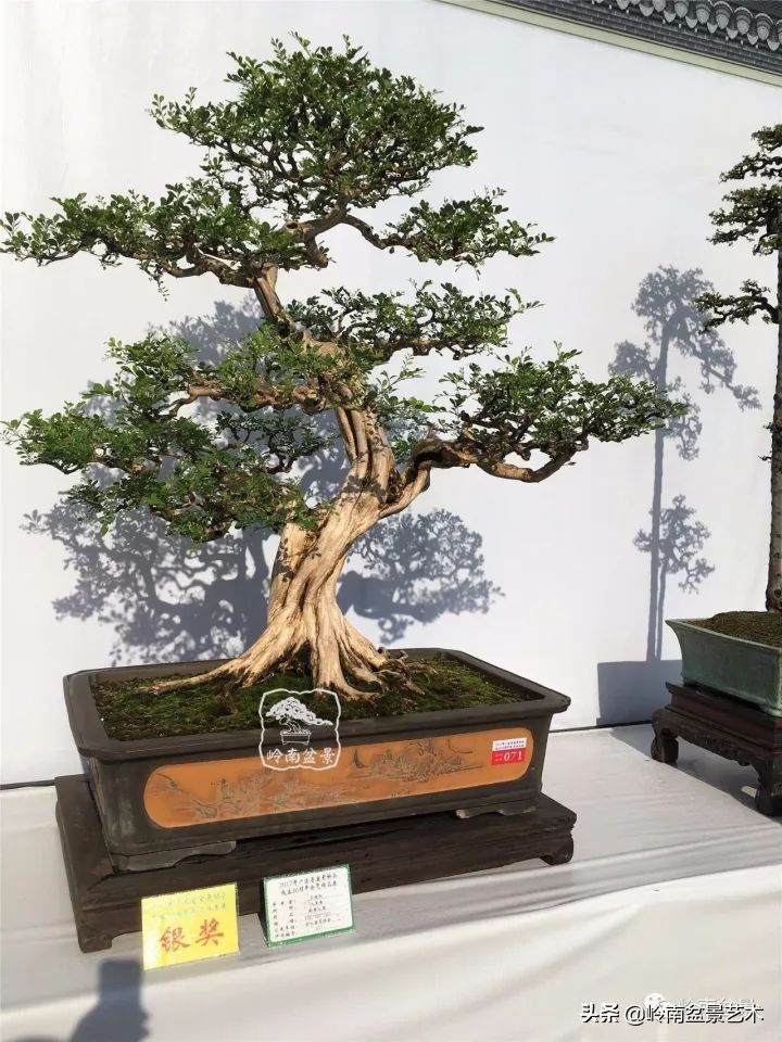 骞哥涔呬箙鐢滅敎铚滆湝,骞哥涔呬箙