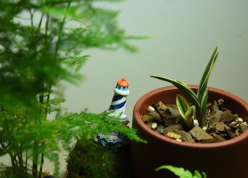 家里的盆栽花发臭该怎么办？自制4种香味肥，用了没异味