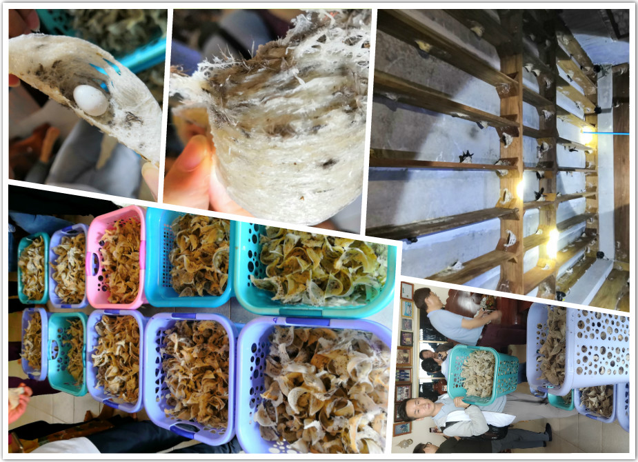 老婆怀孕了我在外地没人照顾,老婆怀孕我去外地出差