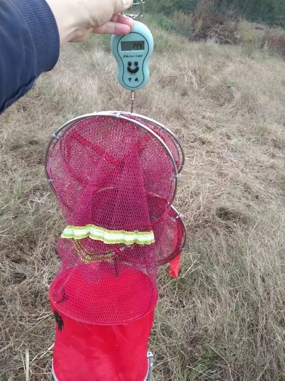 本汀神鹤和太极宗师,本汀神鹤鲫鱼竿