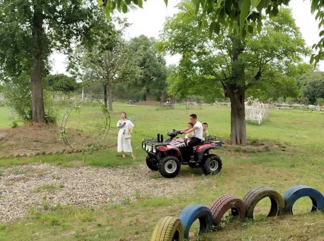 紫薇园宿州露营音乐节,中华紫薇园露营