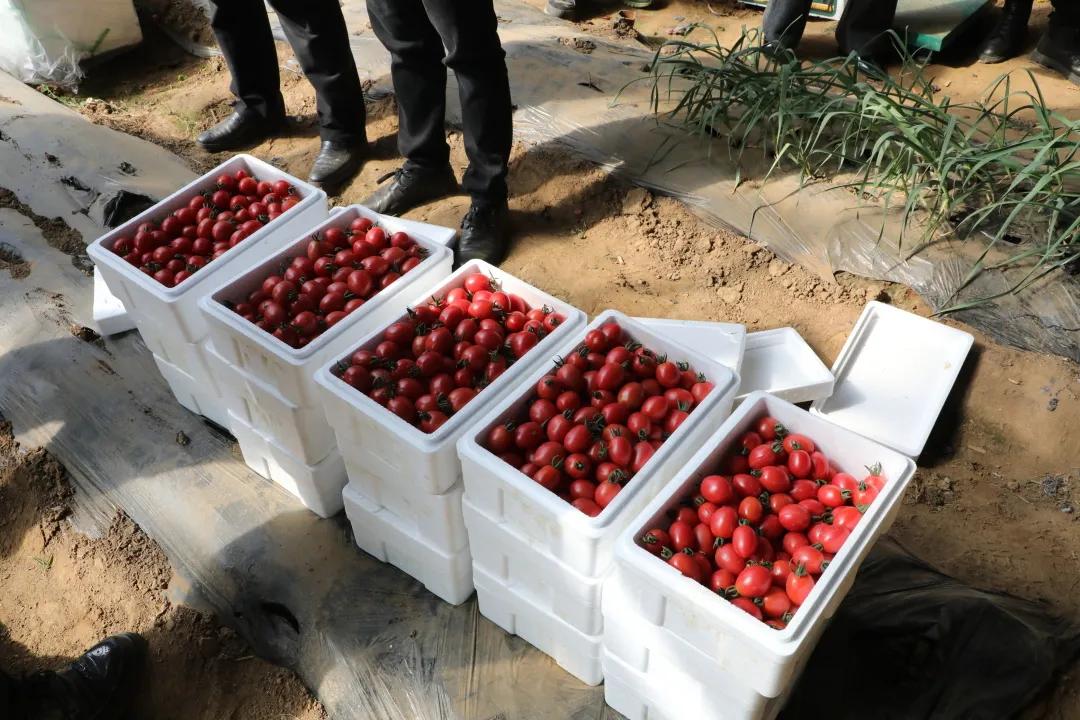 返乡入乡创业创新宣传周实施方案,返乡入乡创业创新政策宣传信息