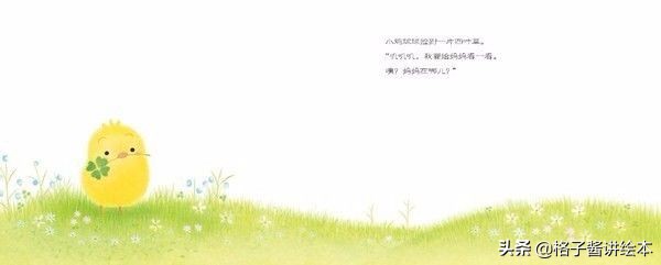 绘本推荐小鸡球,小鸡球球幼儿园绘本推荐卡