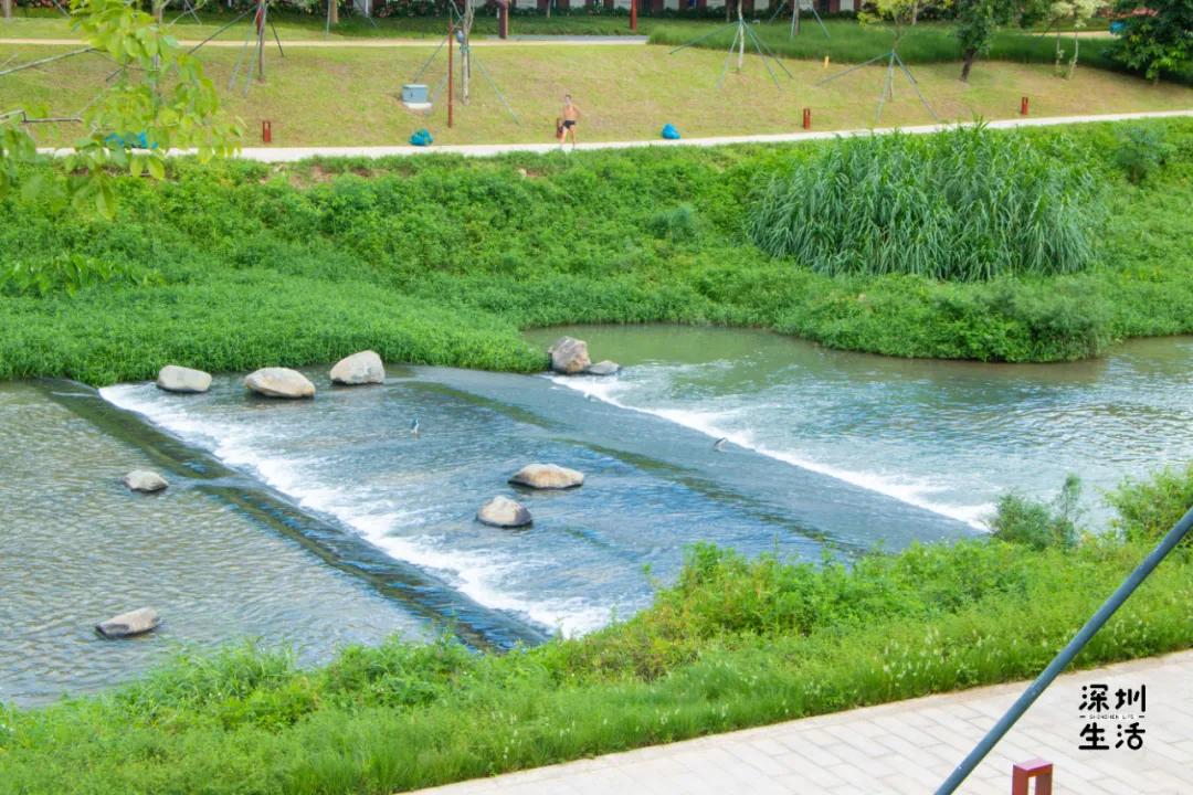 深圳西丽富人区小区有哪些,西丽宜居片区