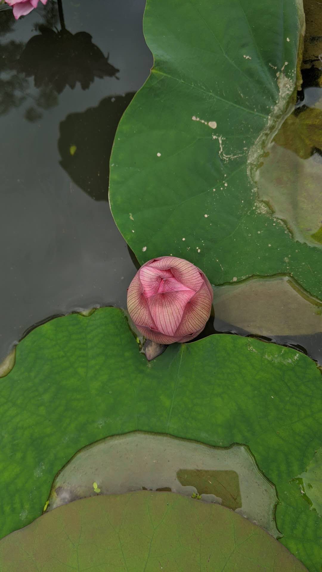 再见七月你好八月句子,再见七月你好八月视频