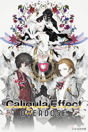 卡里古拉过量,卡里古拉好不好