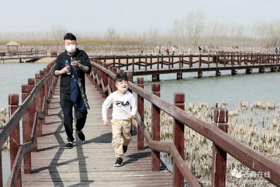 天津2022年四月开放的公园,期待天津这里将再添一片绿洲