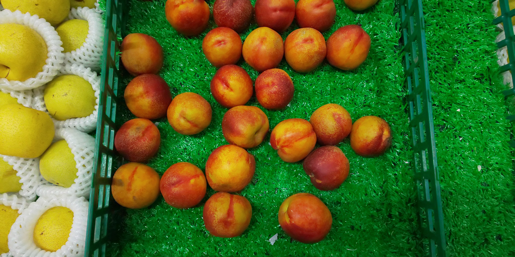 夏普R2：优秀的屏幕+大和民族审美设计