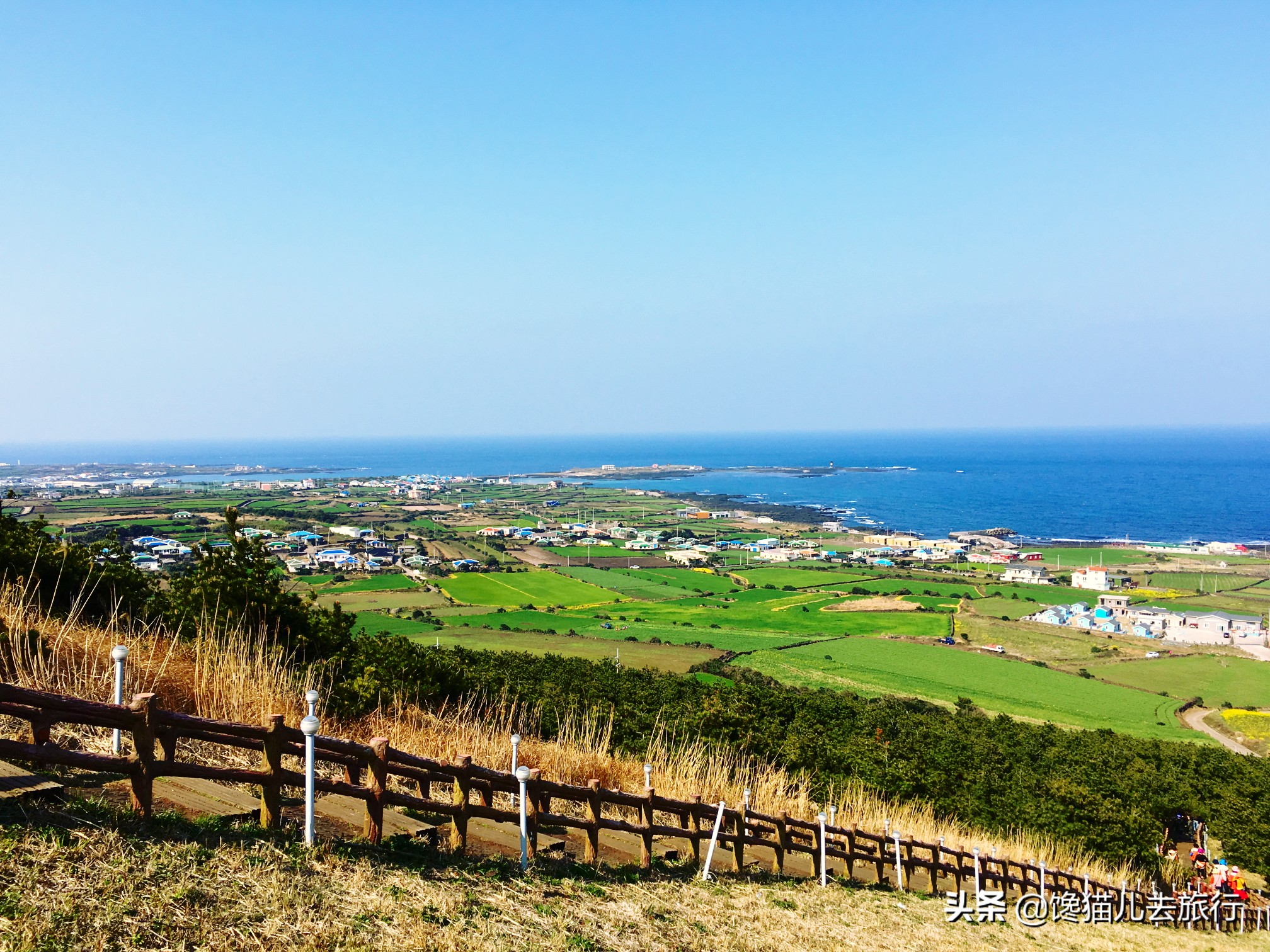 韩国人“看上”青岛，网友：对不起，我们不约