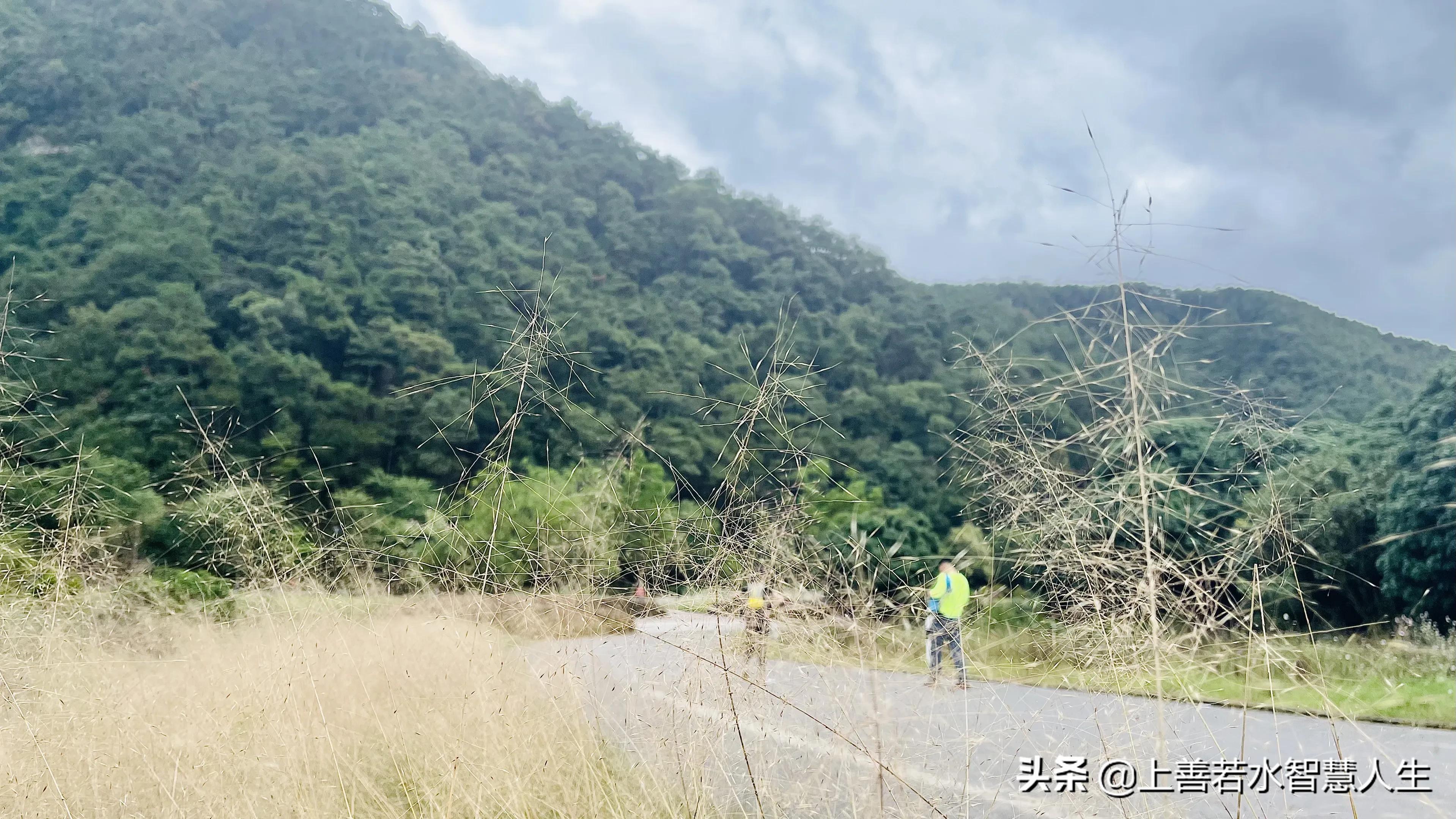 福州湖顶山观景平台风景,湖顶山观景台福州又一处登山美景