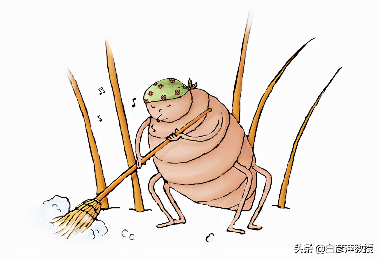 疥疮？一种奇痒又会传染的皮肤疾病