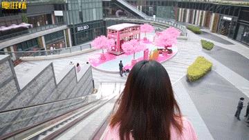 麦兜带你玩转江浙沪,麦兜潮玩