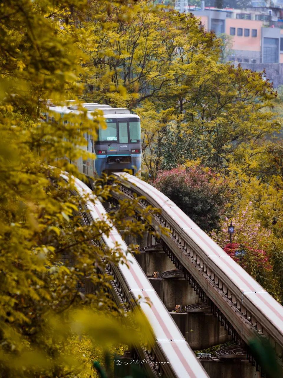 宅家封印解除,漫长的宅家封印解除