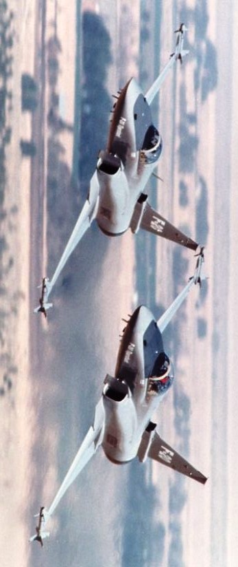 极富悲剧色彩的虎鲸,虎鲨悲剧