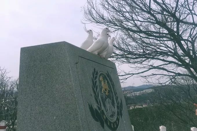 大连回到20年前,大连回到了故乡烟台