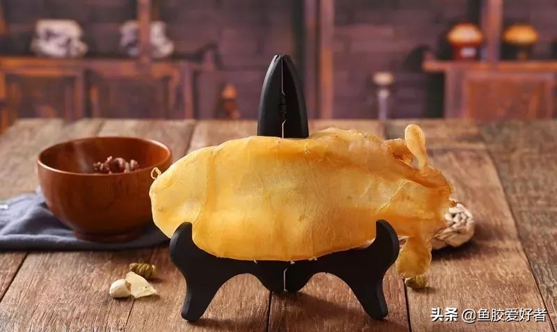 鱼胶花胶常识,鱼胶花胶介绍大全