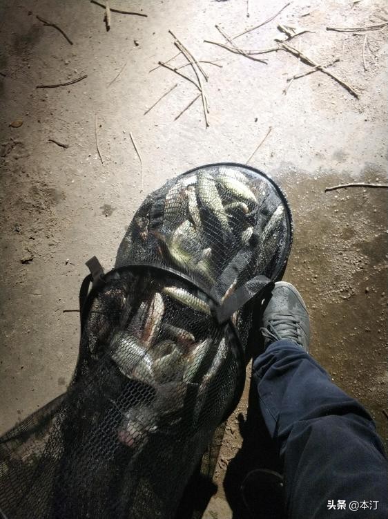 超轻硬七米二鱼竿推荐,本汀太极宗师千斤顶8.1鱼竿测评