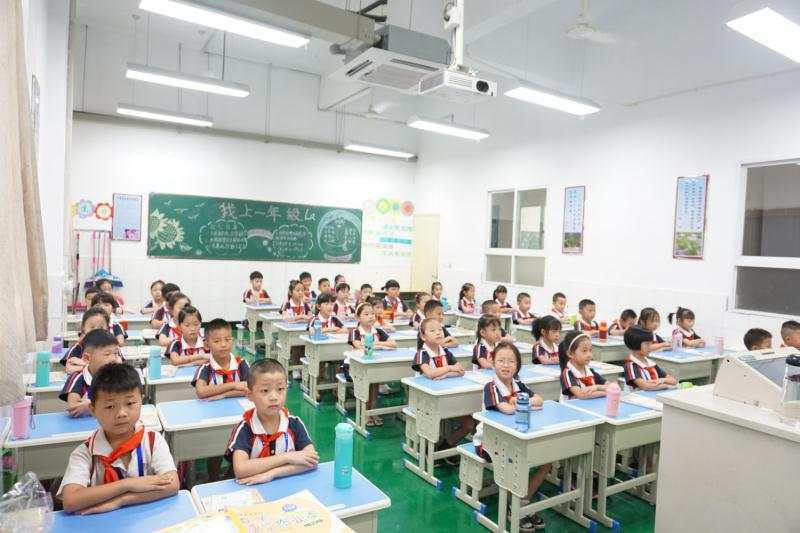 杭州市余杭区育蕾学校官网,杭州星桥育蕾小学