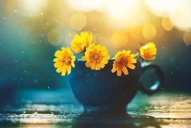 一个人也要风生水起,混得好的人绝对不可能只靠情商