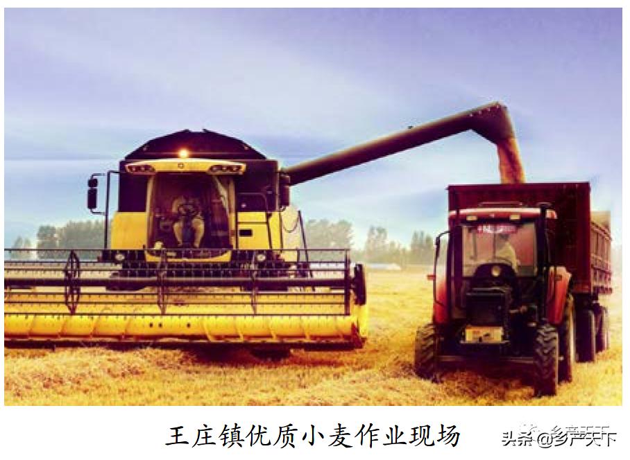 浚县王庄镇简介,浚县王庄镇乡村振兴项目