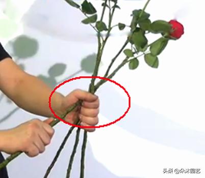 鲜花扎花束教程,手把手教你螺旋花束扎法