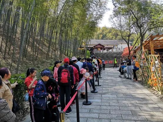 不负假期不负青春,不负韶光享受春日