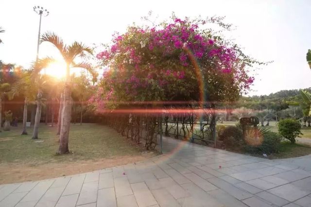 深圳爬山的好去处,深圳爬山地方推荐适合小朋友