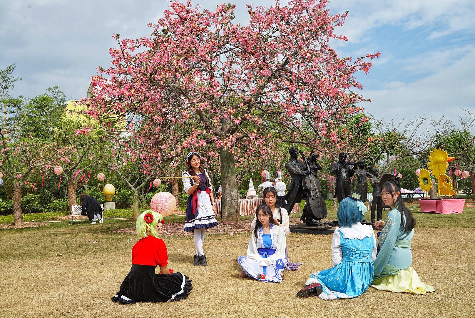 广州粉色浪漫花海,广东秋天粉色花海